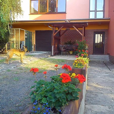 Apartments Ceske Stredohori Teplice Bilik gambar
